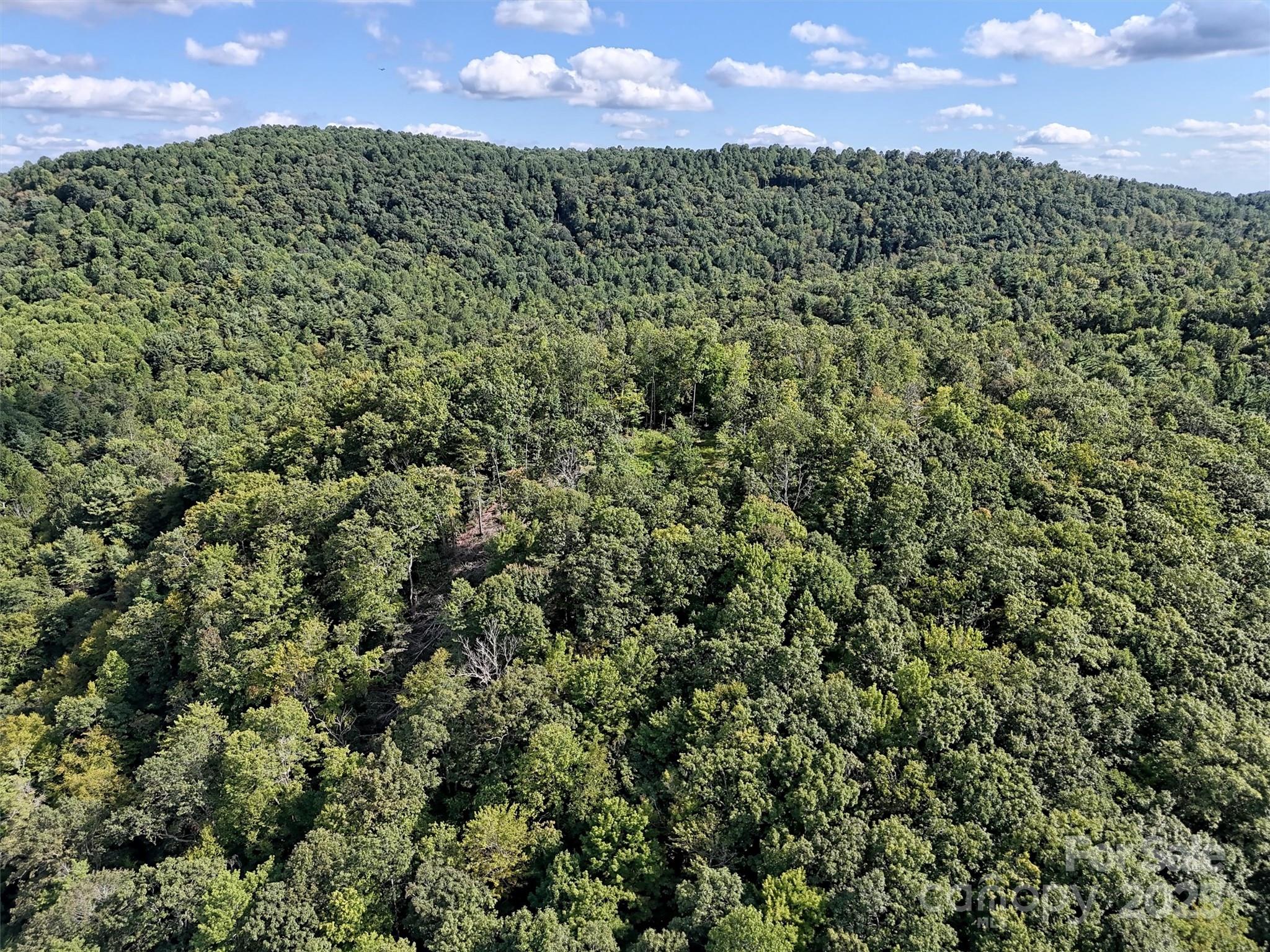 0 Bell Mountain Road Zirconia, NC 28790 - Photo 10 of 19 an aerial view of a houses