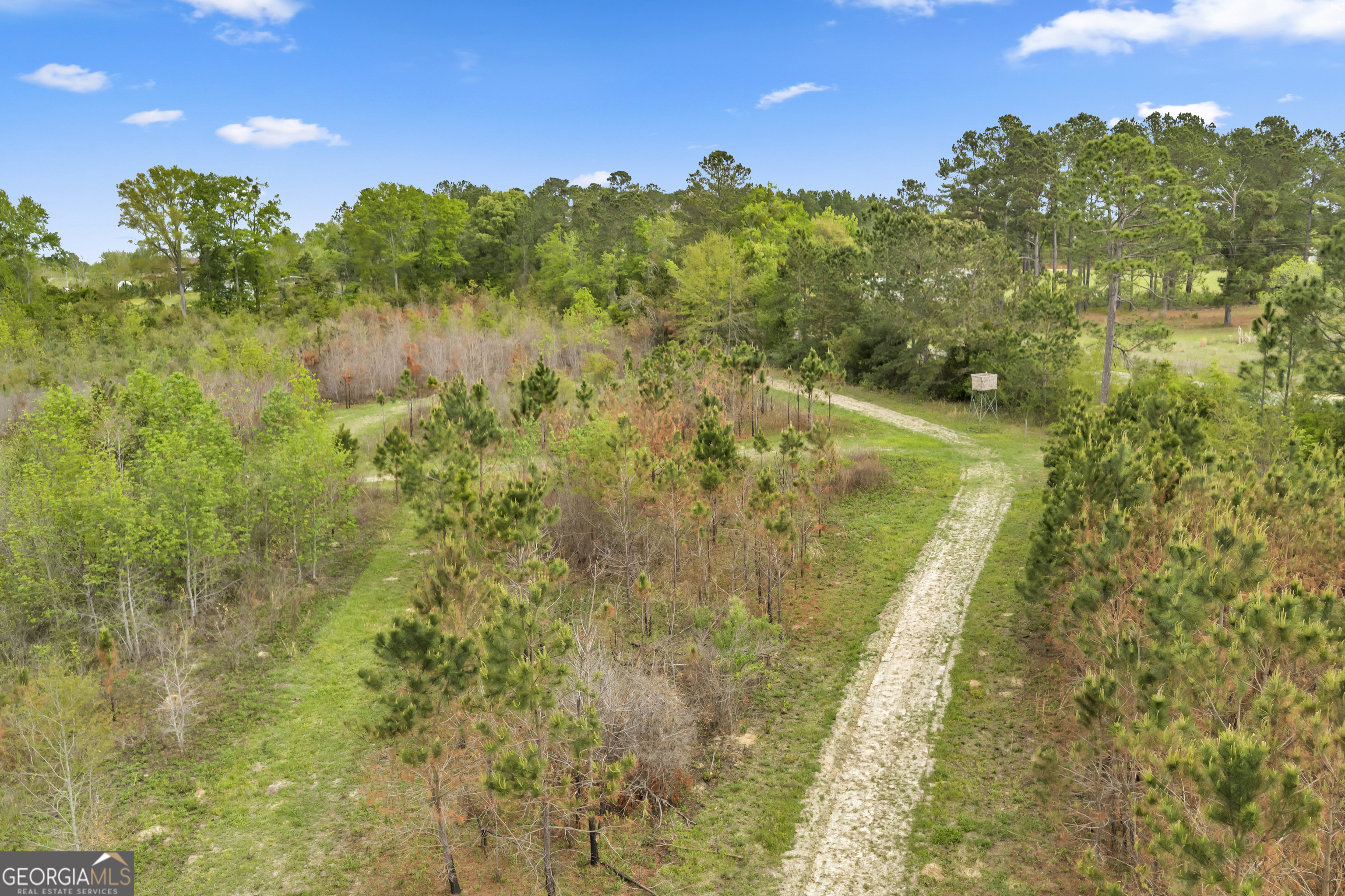 3341 Worth Co Line Road Albany, GA 31705 - Photo 81 of 96