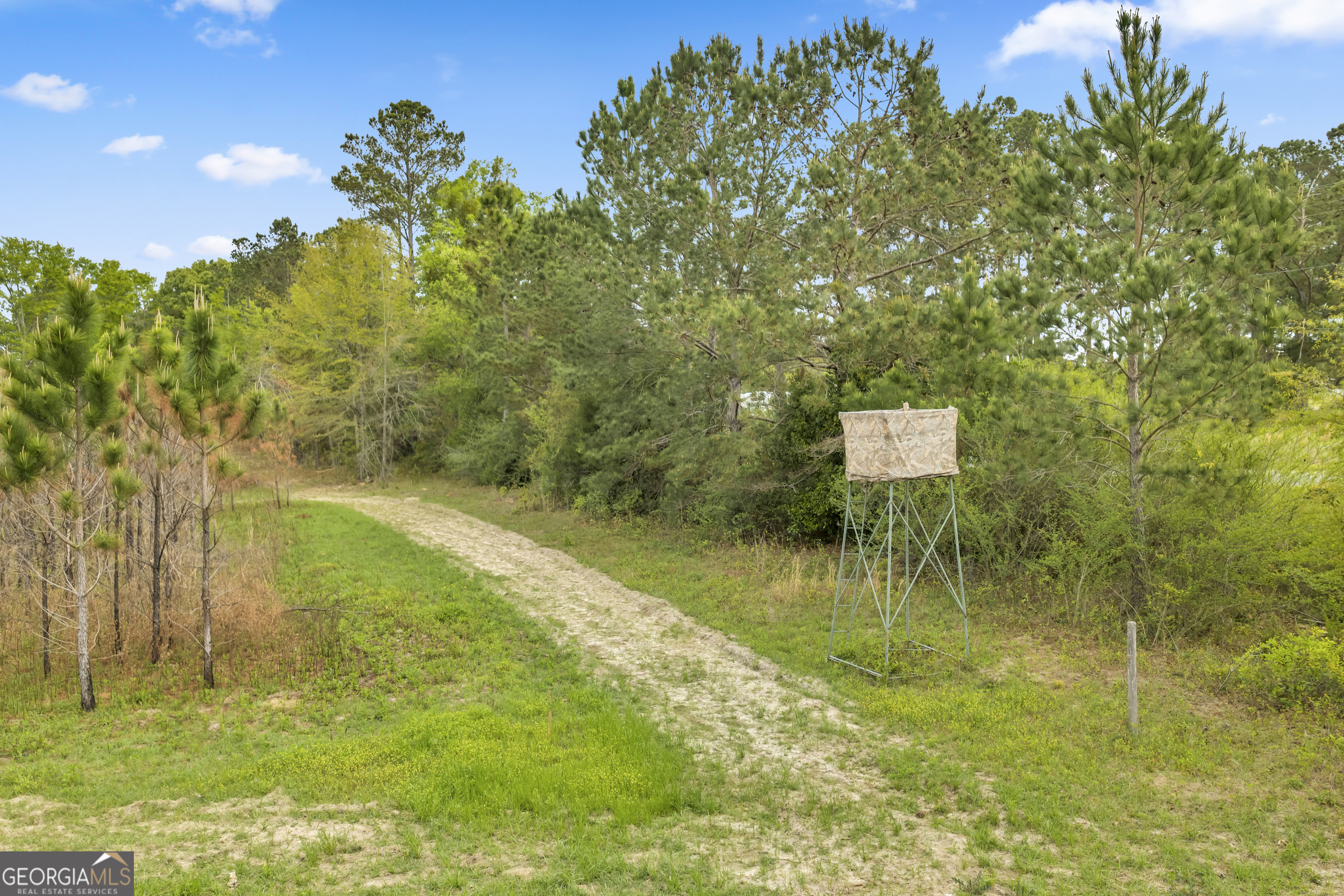 3341 Worth Co Line Road Albany, GA 31705 - Photo 82 of 96