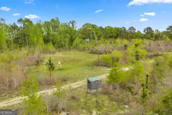 $749,900 | 3341 Worth Co Line Road, Albany, GA 31705