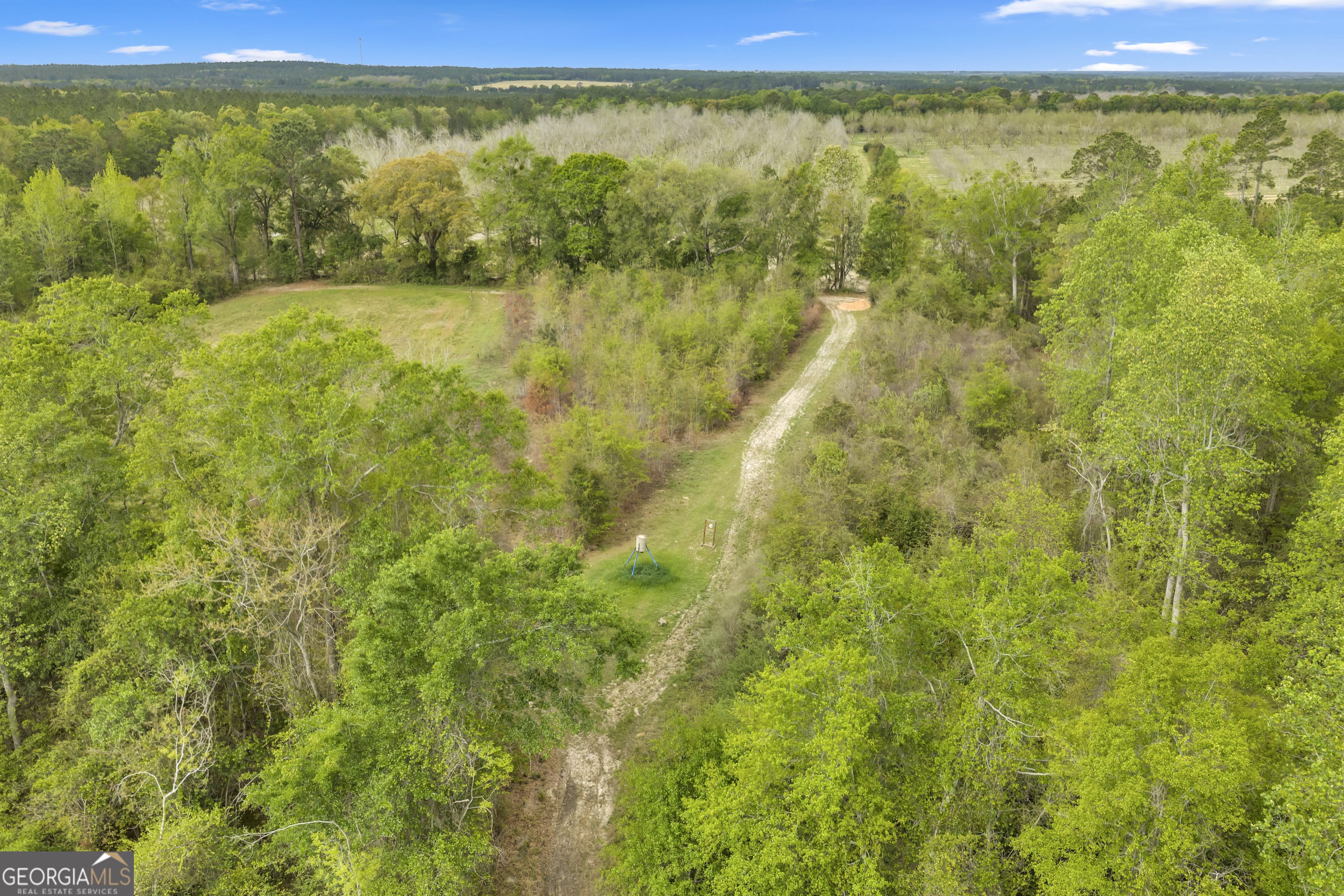 3341 Worth Co Line Road Albany, GA 31705 - Photo 88 of 96