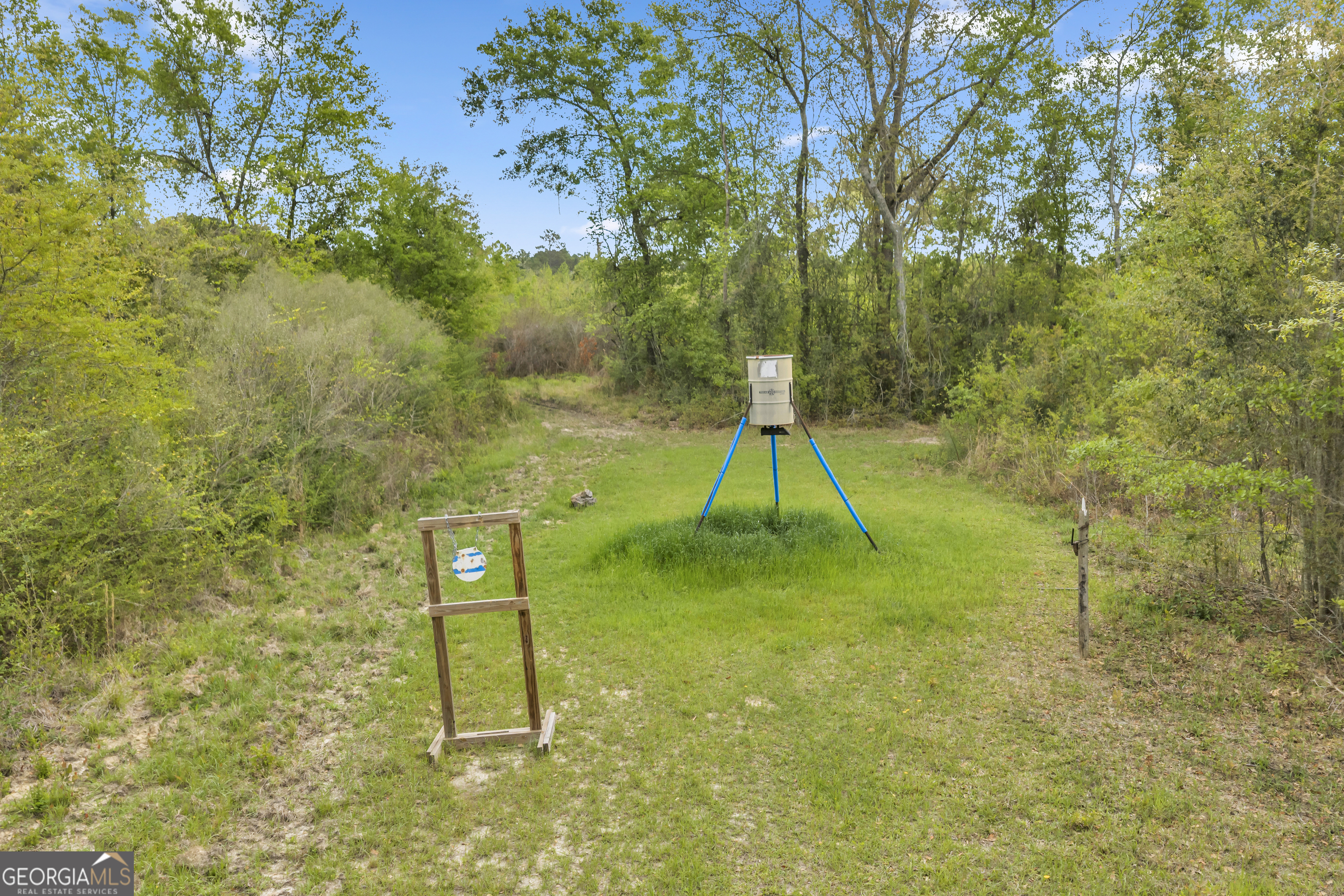 3341 Worth Co Line Road Albany, GA 31705 - Photo 89 of 96