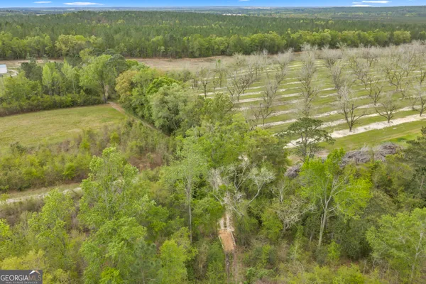 $749,900 | 3341 Worth Co Line Road, Albany, GA 31705