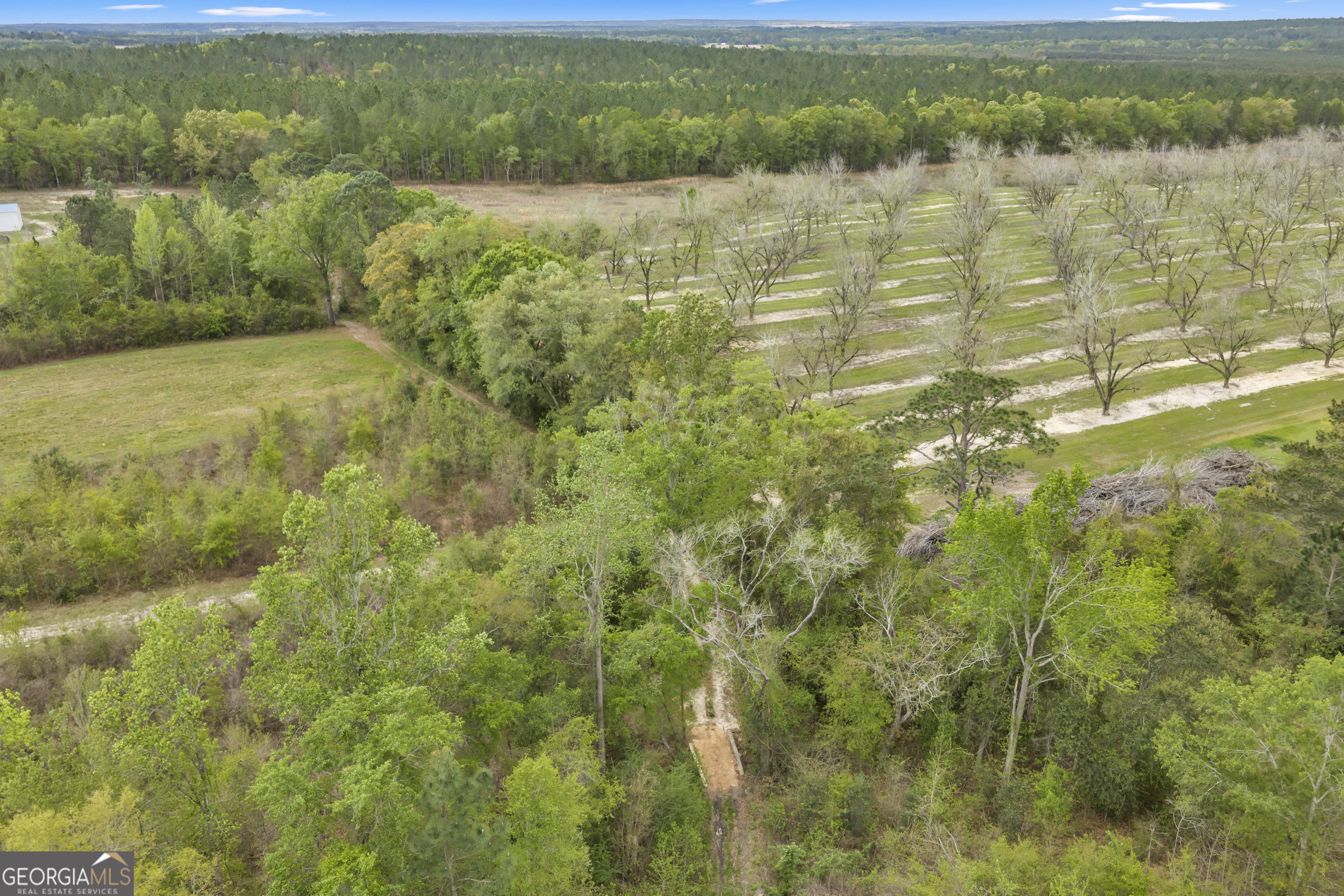 3341 Worth Co Line Road Albany, GA 31705 - Photo 93 of 96