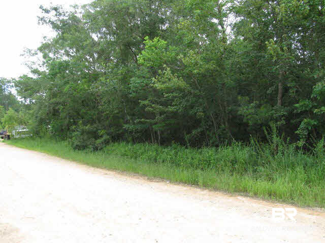 0 11th Street Coden, AL 36523 - Photo 1 of 1