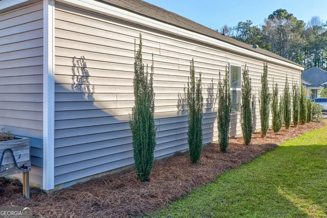 a view of a backyard with plants and large tree