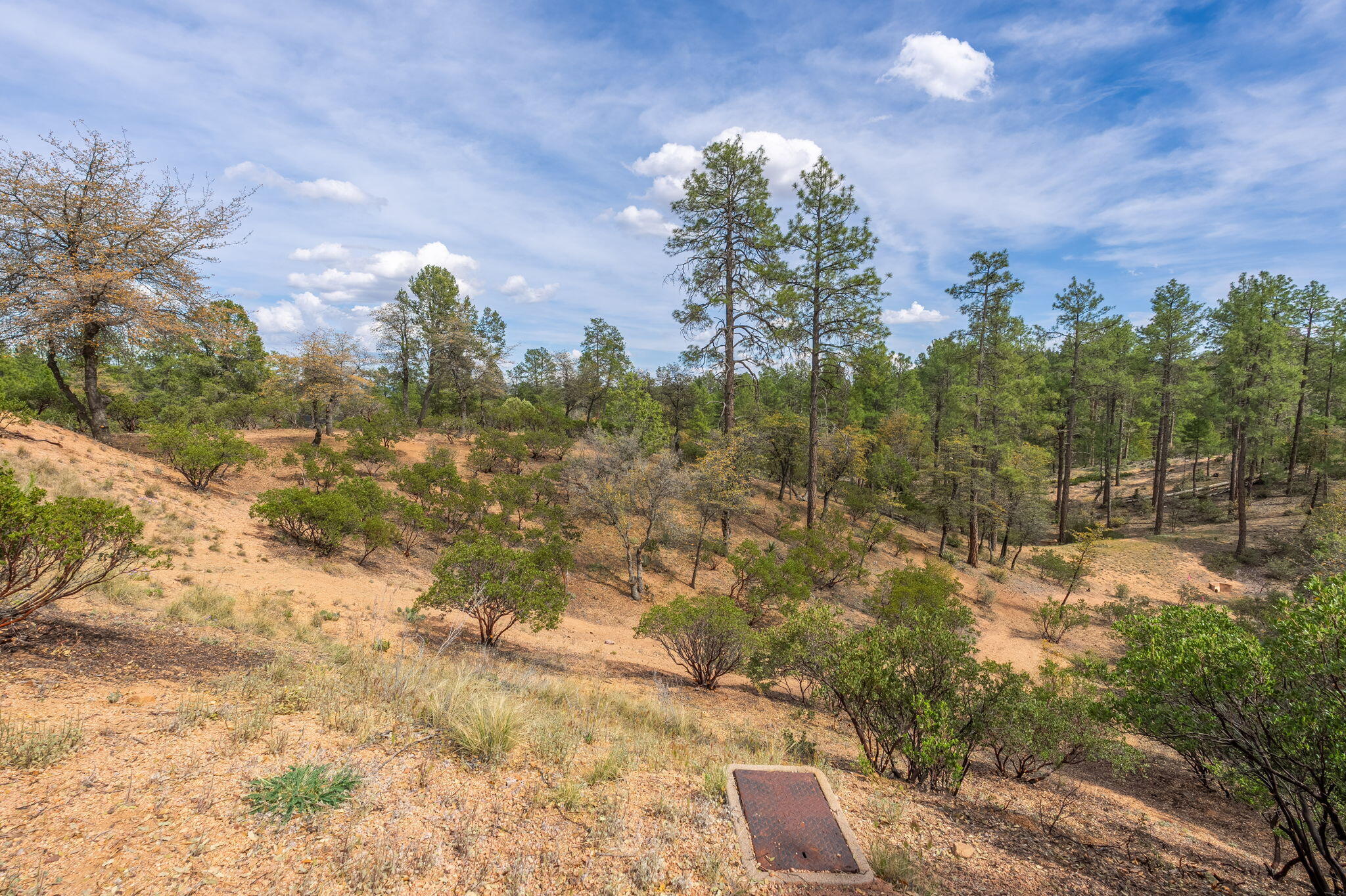 3010 East Arrow Point Payson, AZ 85541 - Photo 5 of 23