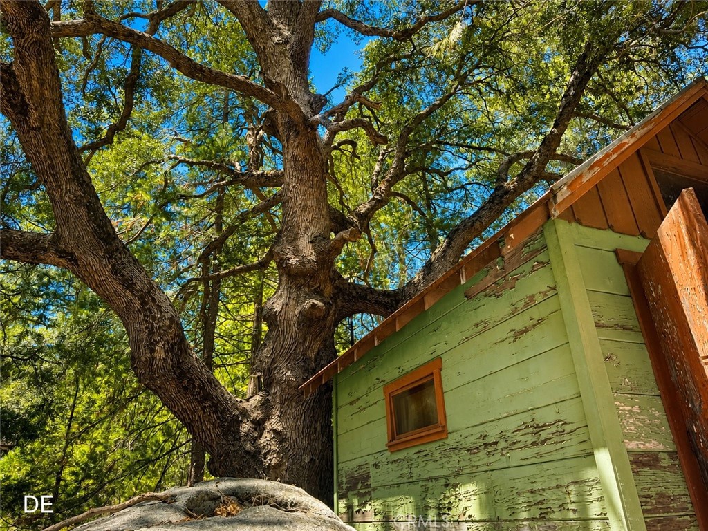 52915 Forest Rte 4S02 Idyllwild, CA 92549 - Photo 20 of 30