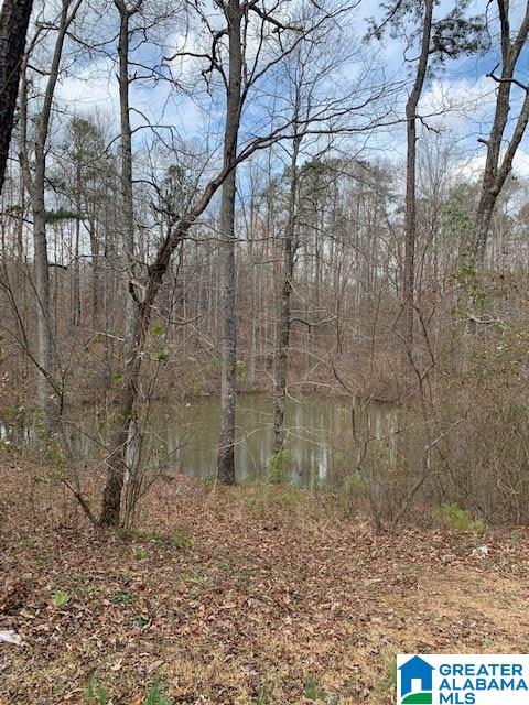 12133 Graceland Road Northport, AL 35475 - Photo 28 of 29