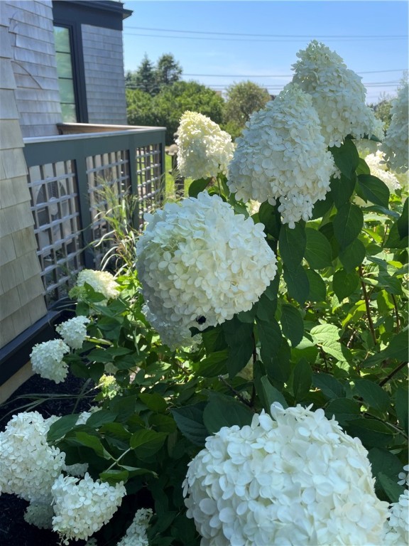 1448 Mohegan Trail Block Island, RI 02807 - Photo 43 of 47 Garden