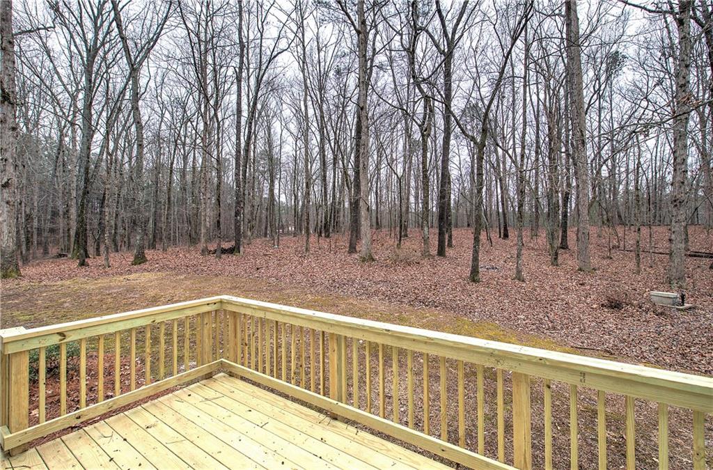 1722 Luther Bailey Road Senoia, GA 30276 - Photo 60 of 67