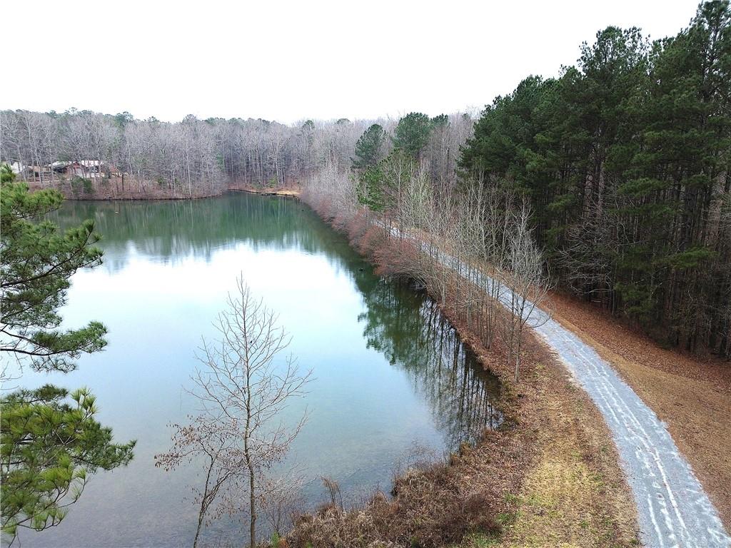 1722 Luther Bailey Road Senoia, GA 30276 - Photo 63 of 67