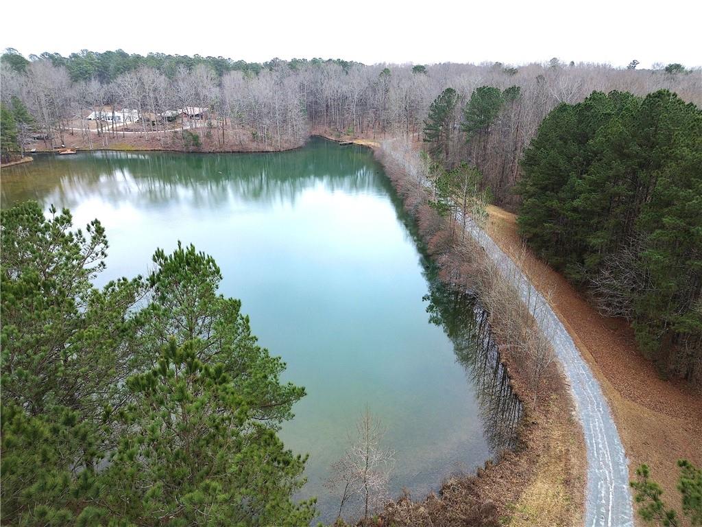 1722 Luther Bailey Road Senoia, GA 30276 - Photo 64 of 67