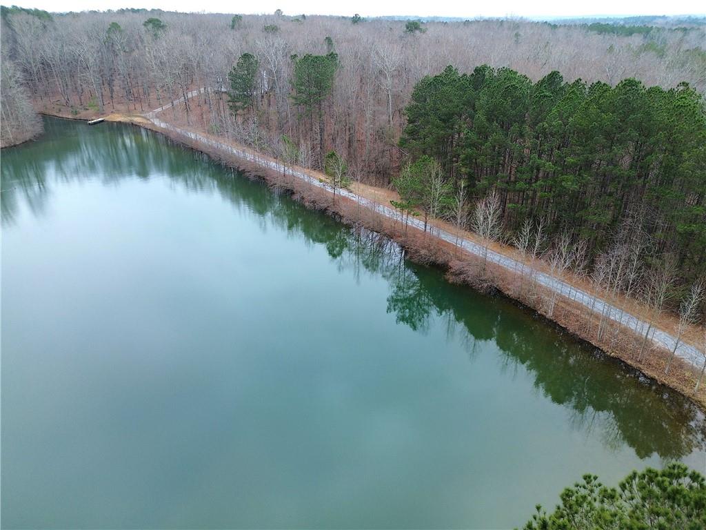 1722 Luther Bailey Road Senoia, GA 30276 - Photo 65 of 67