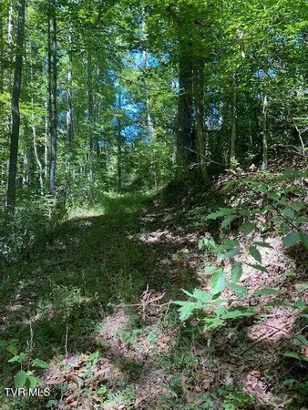$230,000 | Tbd Hurricane Road, Jonesville, VA 24263