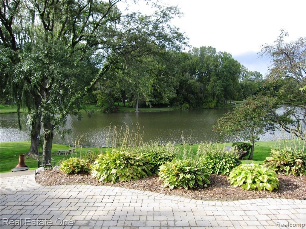 PR Lake View from Patio.jpg