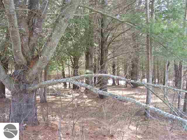 1669 West River Road Traverse City, MI 49696 - Photo 7 of 13 1702457-6.JPG