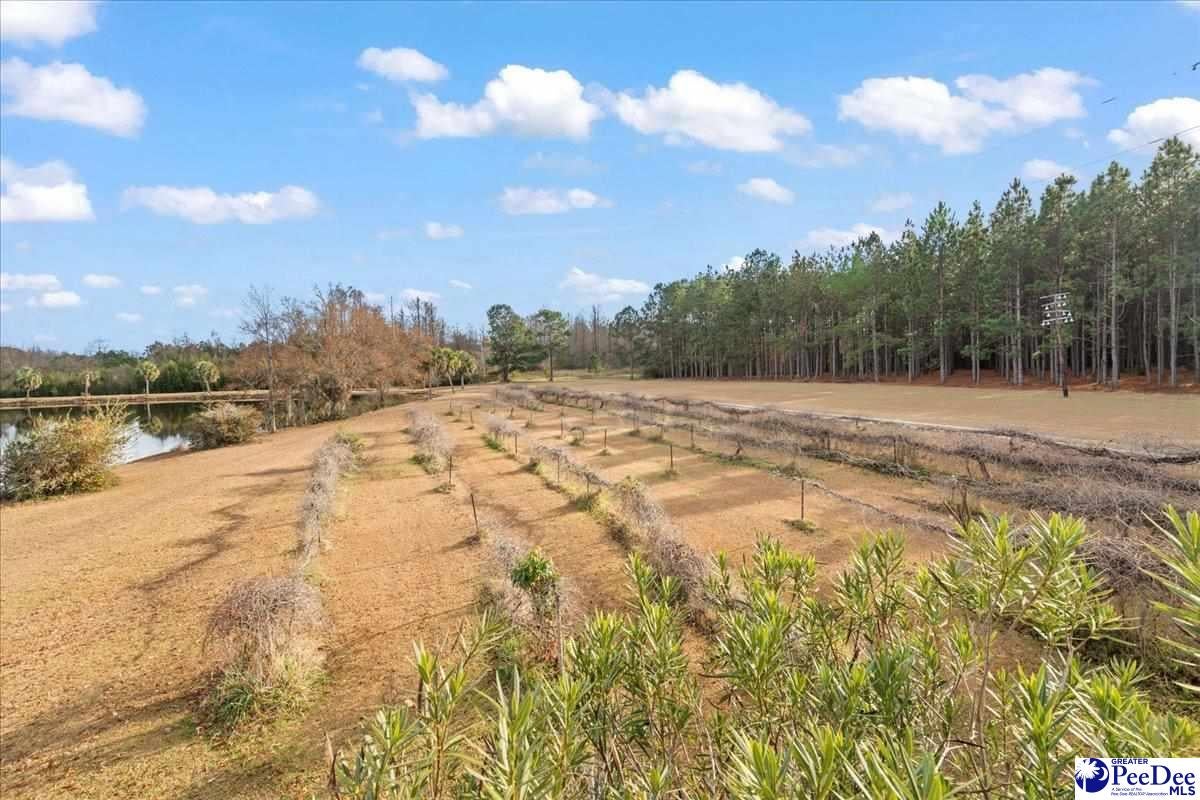 739-741 Jones Road Lake City, SC 29560 - Photo 22 of 45 Gallery Image 22