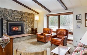 361 Lagoon Lane Silverthorne, CO 80498 - Photo 8 of 24 a living room with furniture and a fireplace