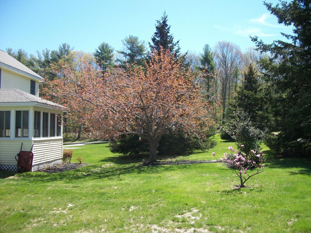 241 Dearborn Road Greenland, NH 03840 - Photo 12 of 12 Gallery Image 12