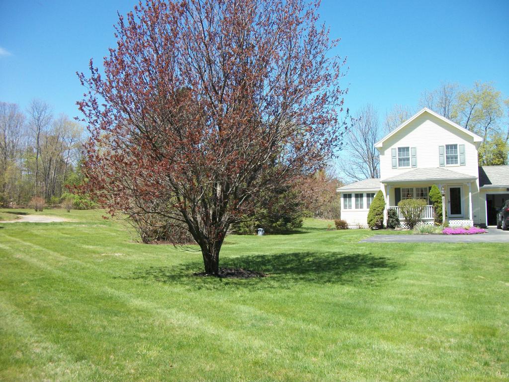 241 Dearborn Road Greenland, NH 03840 - Photo 7 of 12 Gallery Image 7