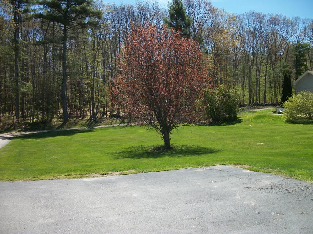 241 Dearborn Road Greenland, NH 03840 - Photo 9 of 12 Gallery Image 9