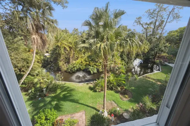 a view of a garden from a window