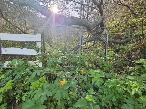a view of a back yard