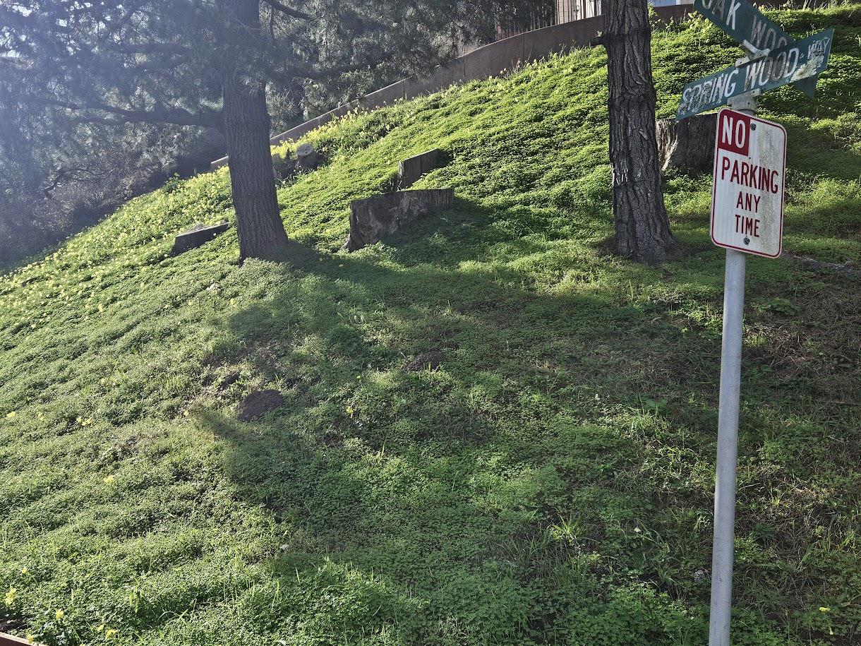 0 Portola Road Pacifica, CA 94044 - Photo 7 of 7 a sign that is sitting in front of a tree
