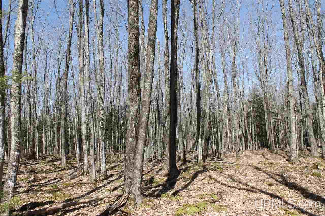 Tbd Tbd Trail Road, Unit 800 Deerton, MI 49822 - Photo 4 of 6