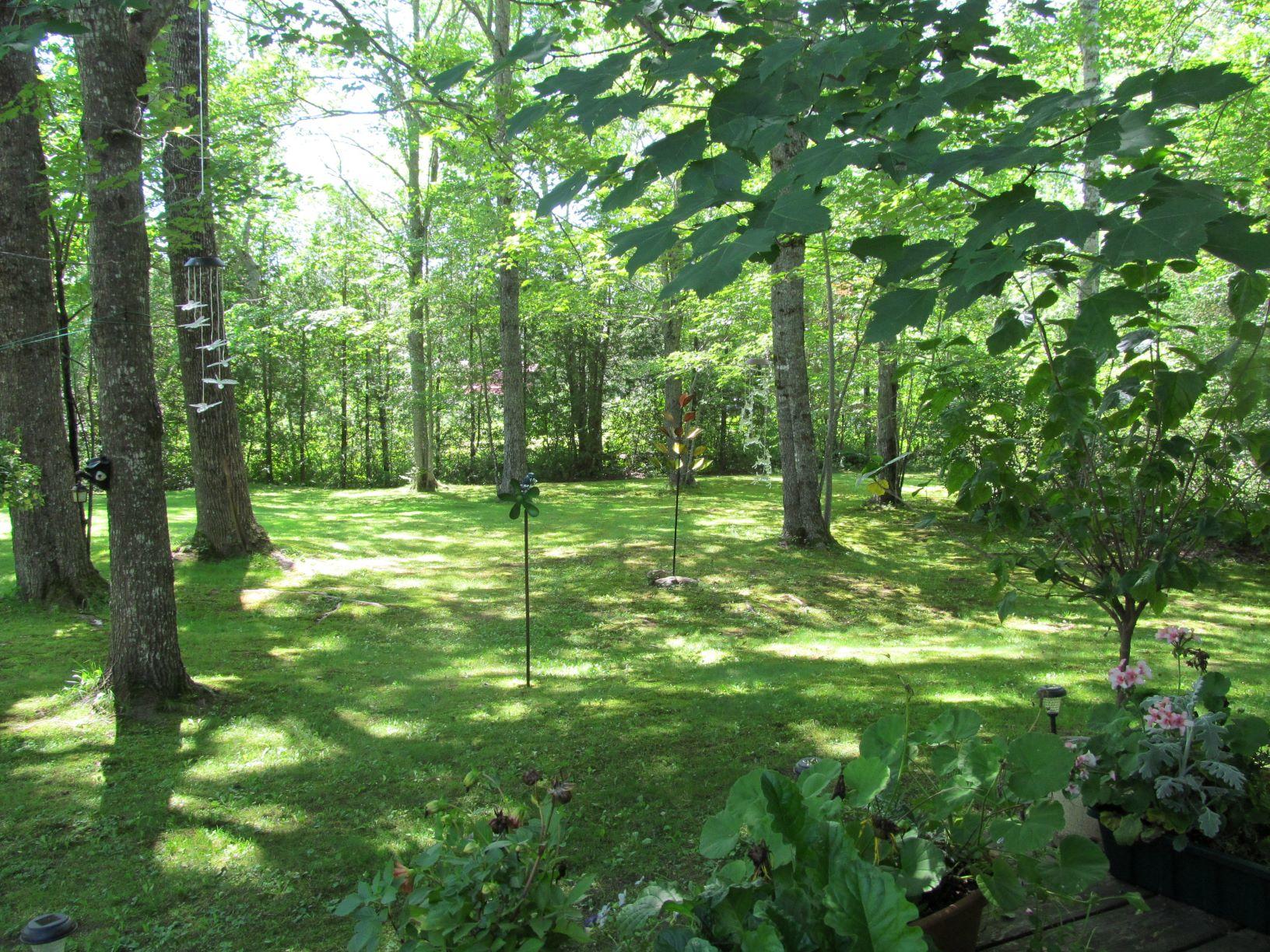 159 Arm Road Alexander, ME 04694 - Photo 10 of 43 IMG_1339