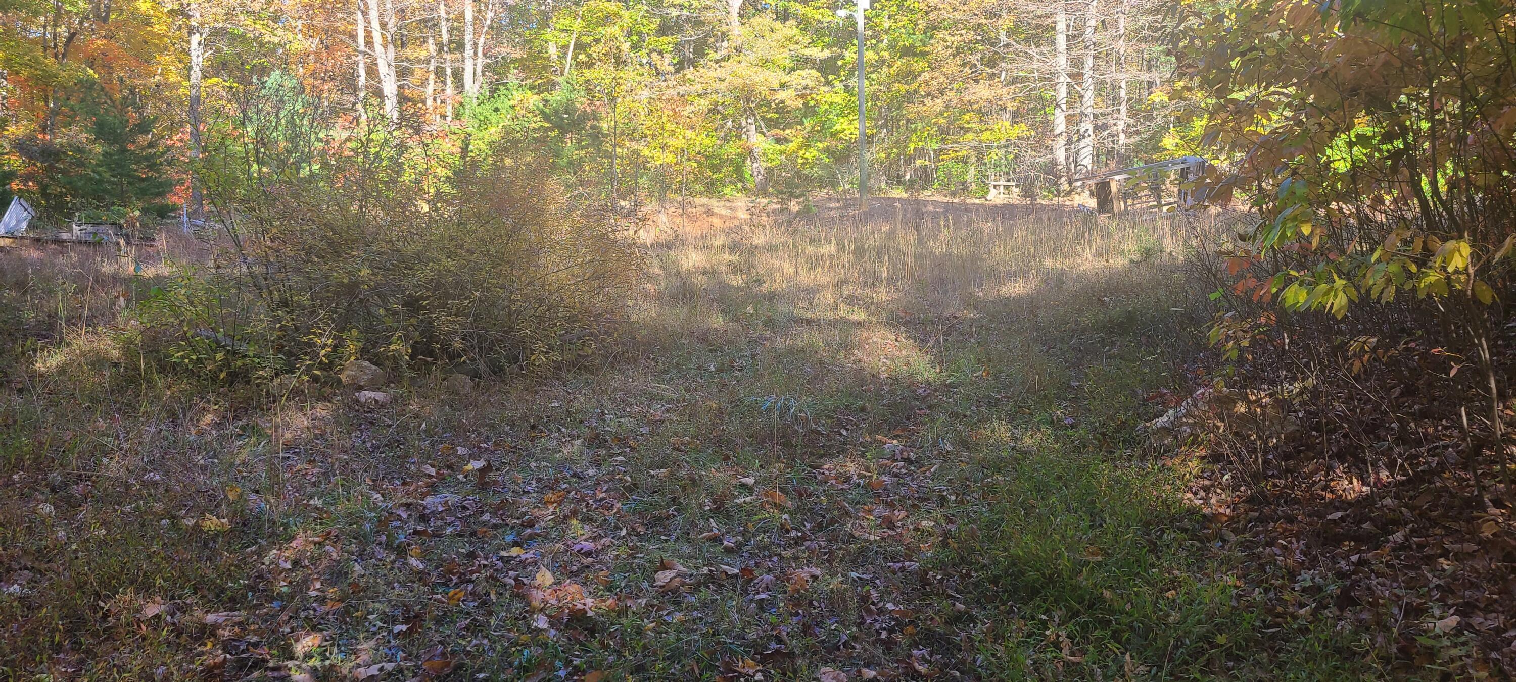 2205 Turners Creek Road Ferrum, VA 24088 - Photo 11 of 17 20231024_162302