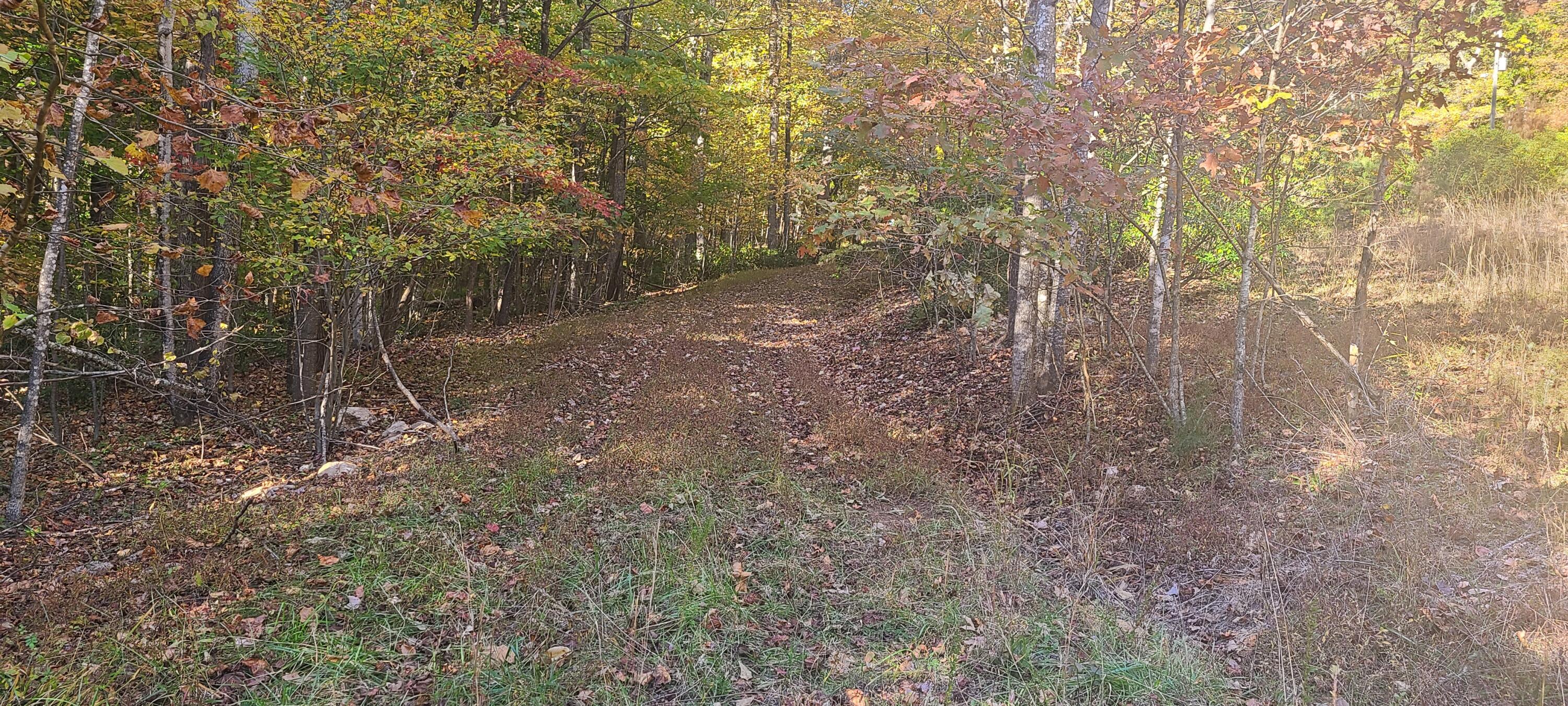 2205 Turners Creek Road Ferrum, VA 24088 - Photo 13 of 17 20231024_162206