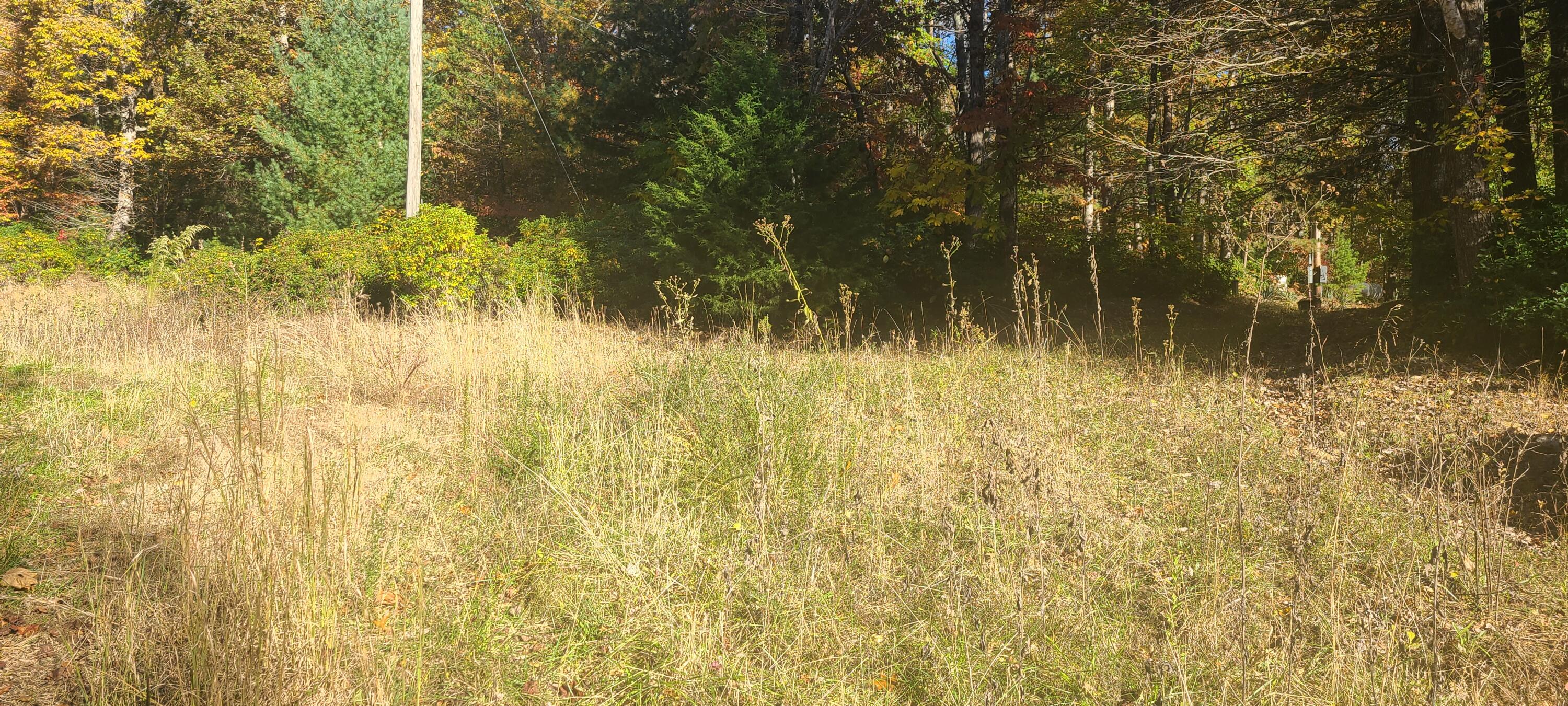 2205 Turners Creek Road Ferrum, VA 24088 - Photo 14 of 17 20231024_162133