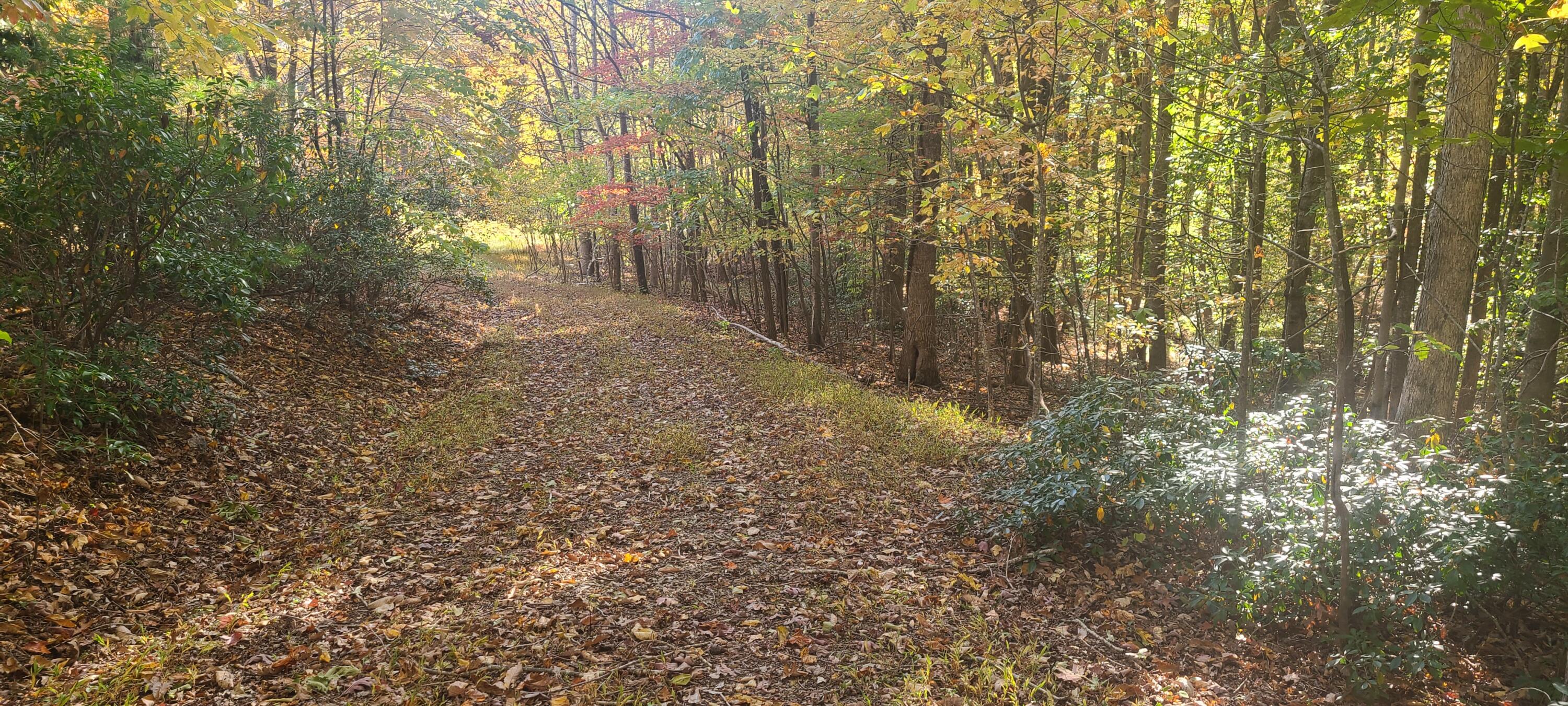 2205 Turners Creek Road Ferrum, VA 24088 - Photo 3 of 17 20231024_162505