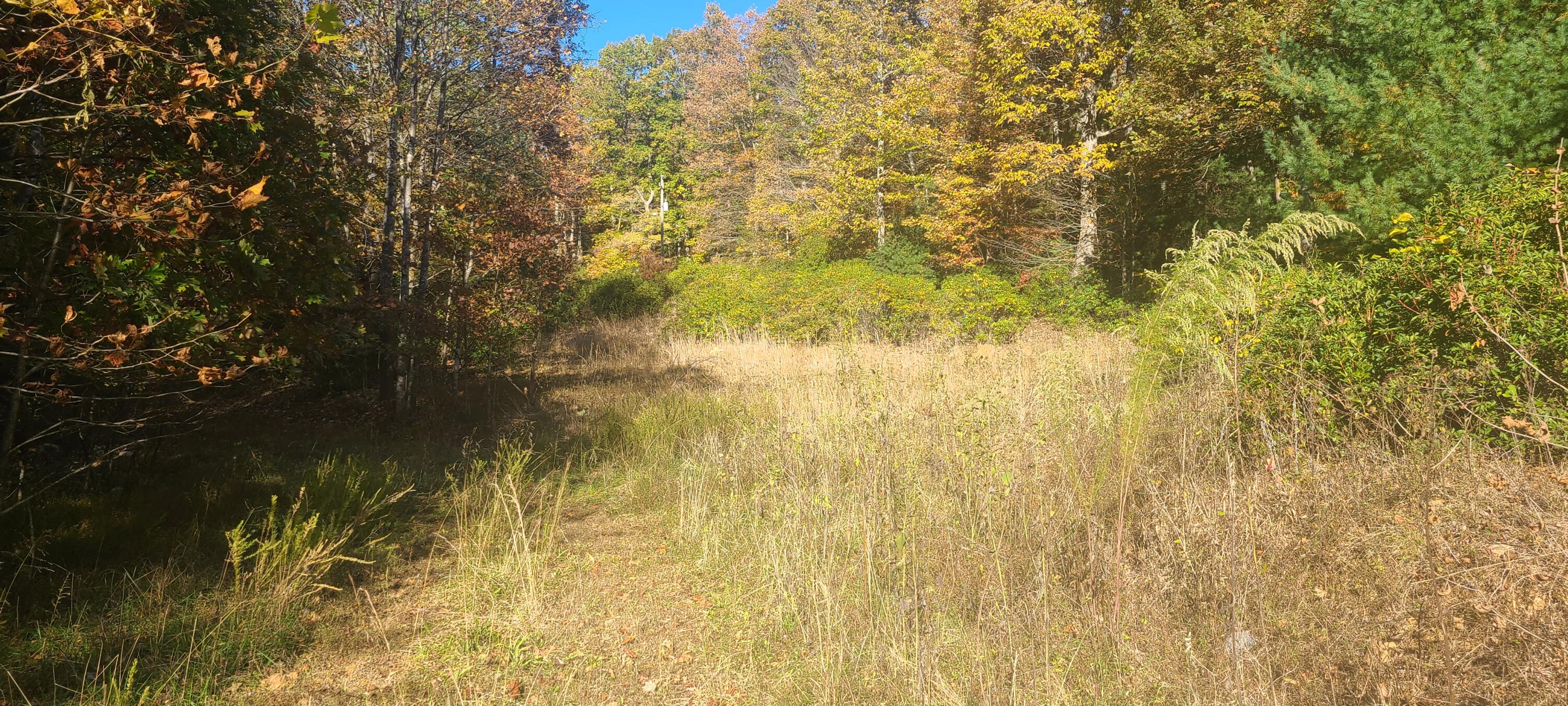 2205 Turners Creek Road Ferrum, VA 24088 - Photo 9 of 17 20231024_162149 (1)