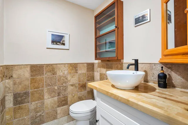 a view of a garden with plants and flowers