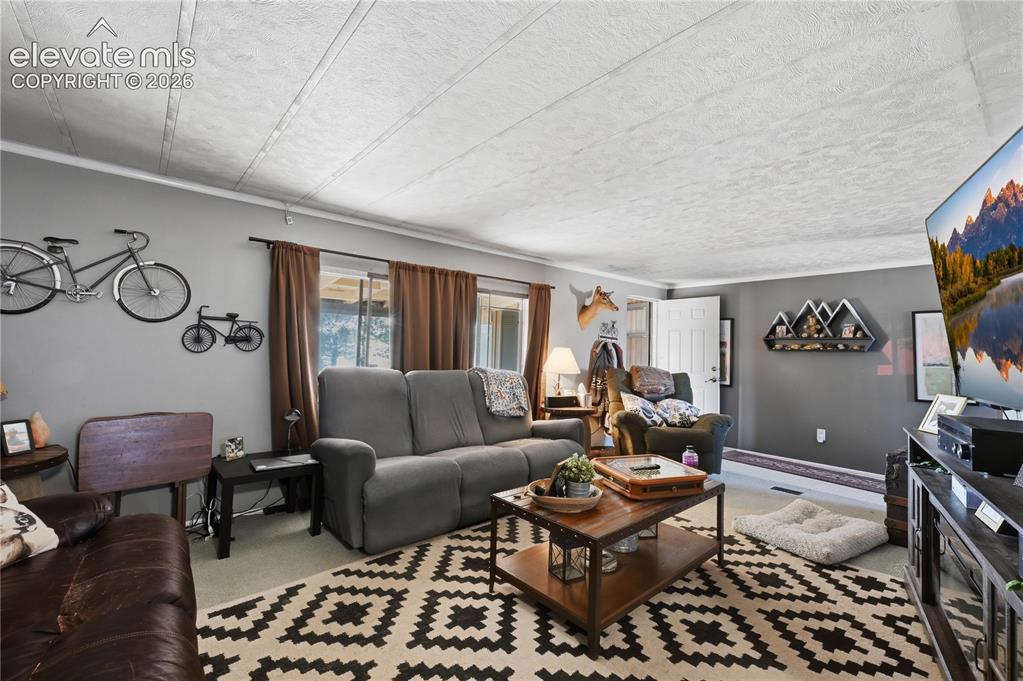 7775 Brule Road Colorado Springs, CO 80908 - Photo 18 of 28
