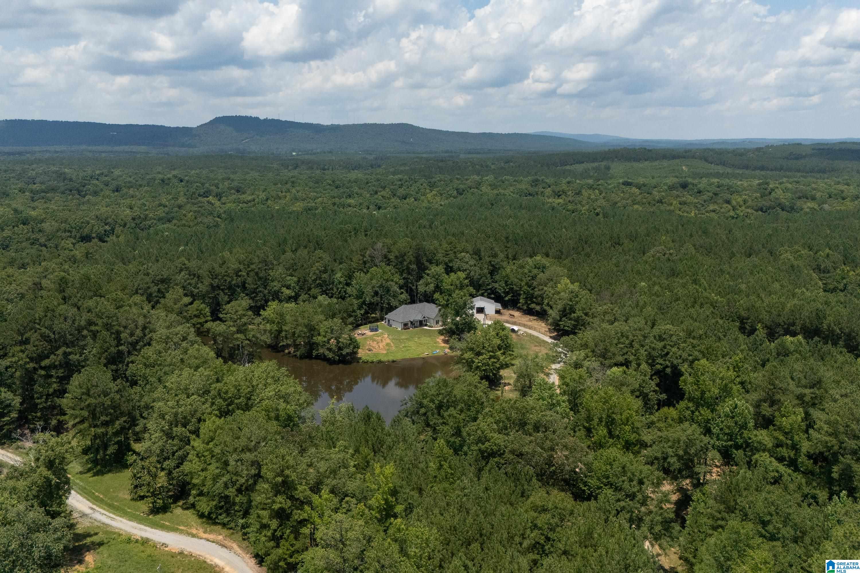 340 Lake Cottage Road Sterrett, AL 35147 - Photo 6 of 83