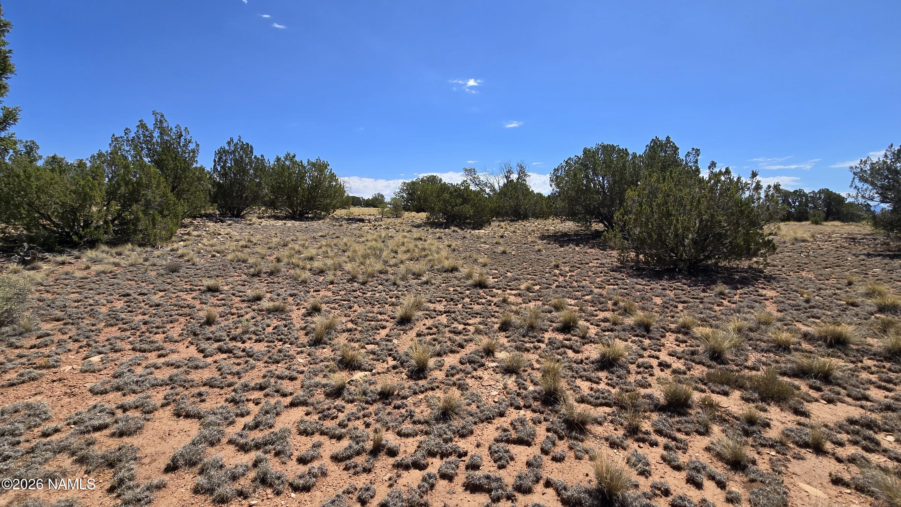 3711 Wingfield Road Williams, AZ 86046 - Photo 10 of 21 20260802_105205