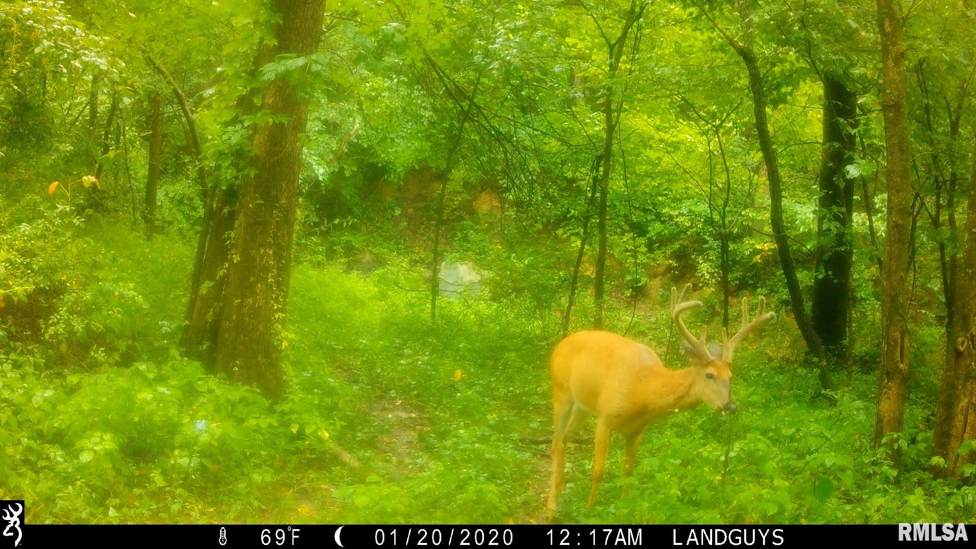 18881 East Hart Road Marietta, IL 61459 - Photo 49 of 62 Gallery Image 49