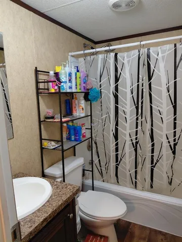 a bathroom with a granite countertop sink and a toilet