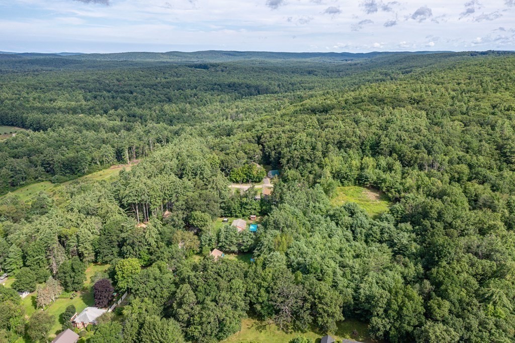 0 Brickyard Road Athol, MA 01331 - Photo 1 of 17 a view of a lush green forest with lots of trees