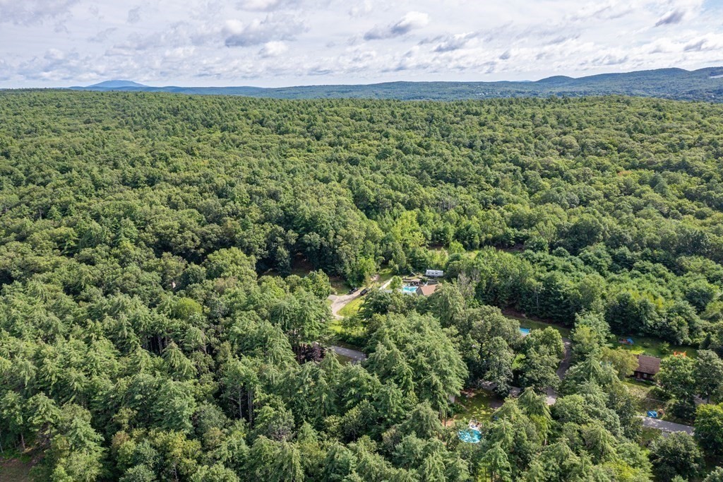 0 Brickyard Road Athol, MA 01331 - Photo 14 of 17 a view of a yard with plants and large trees