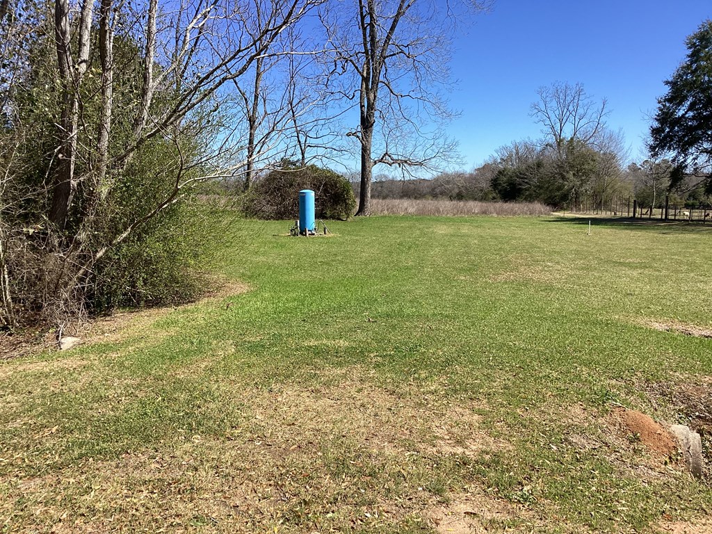 0 Benton Store Road Columbia, AL 36319 - Photo 5 of 24