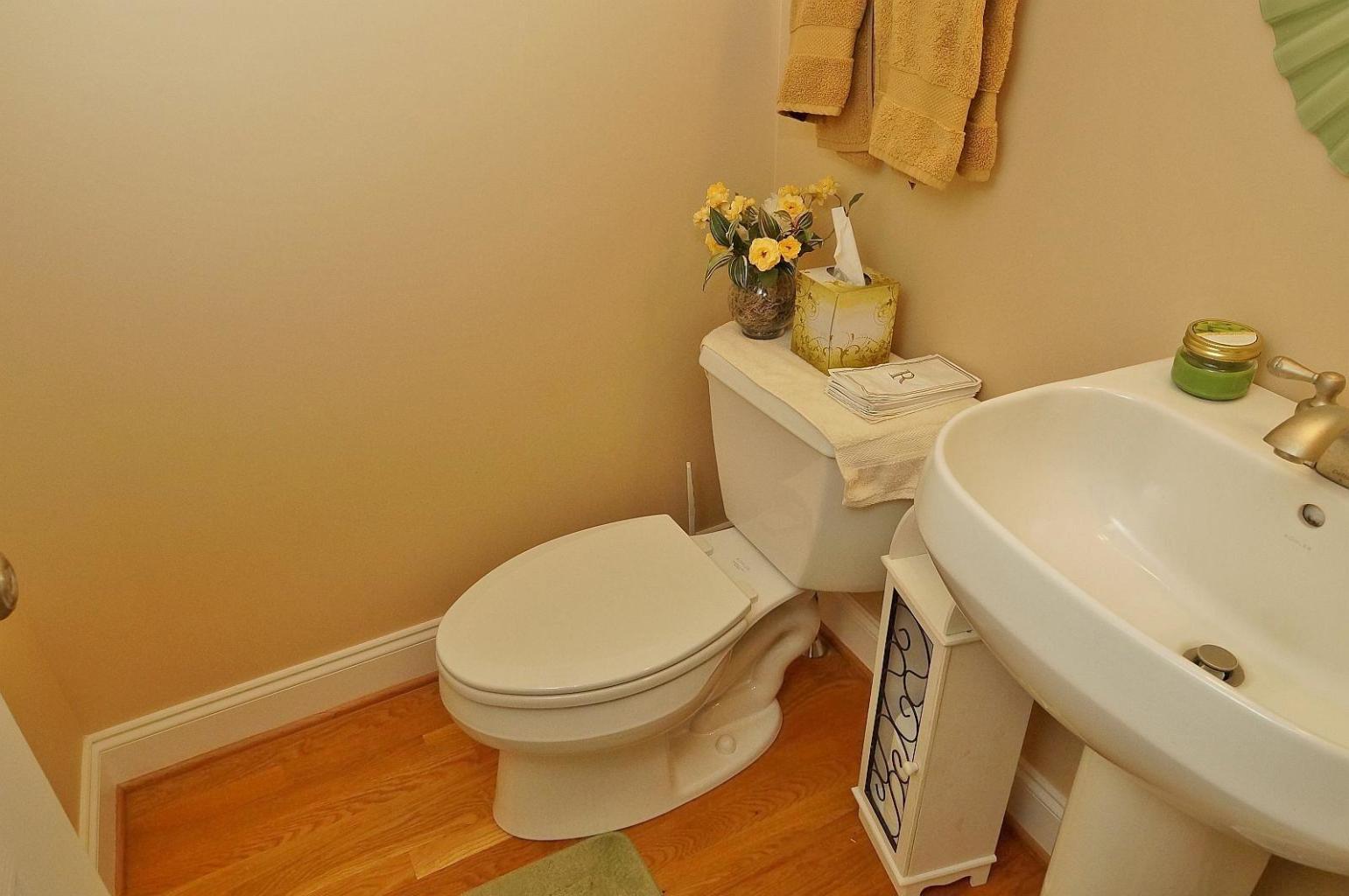 6387 Scruggs Road Moneta, VA 24121 - Photo 22 of 43 ScruggsHalfBath