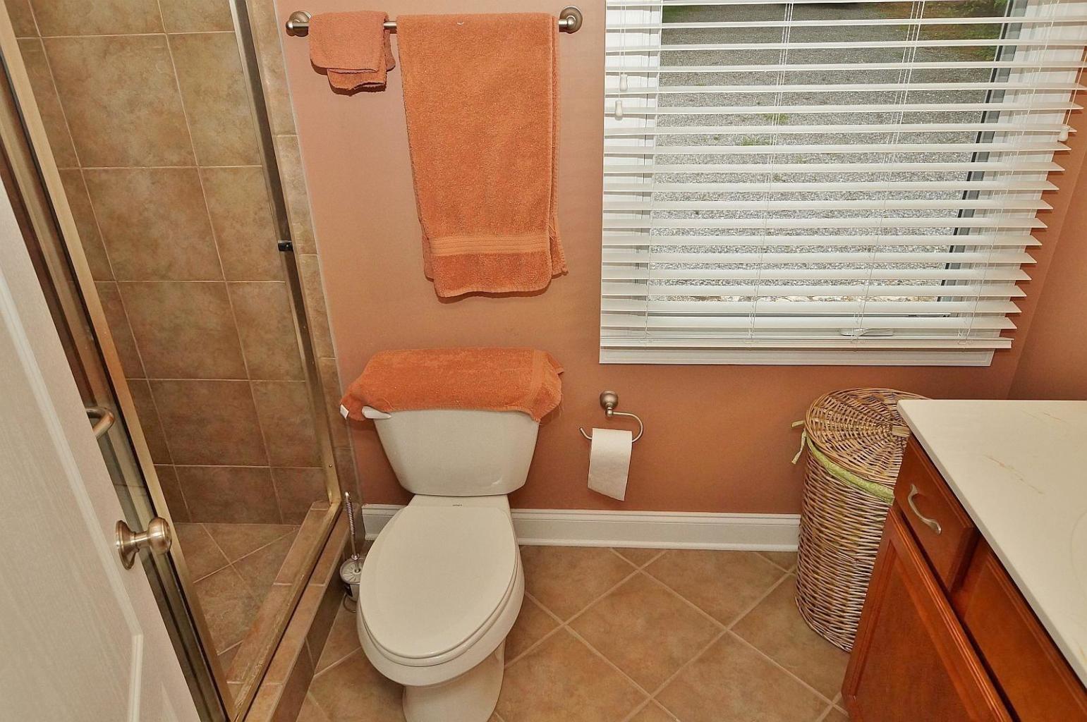 6387 Scruggs Road Moneta, VA 24121 - Photo 25 of 43 ScruggsMaster1
