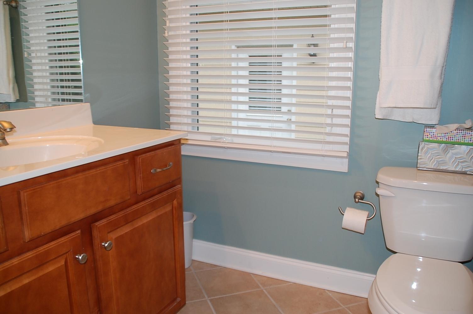 6387 Scruggs Road Moneta, VA 24121 - Photo 28 of 43 ScruggsSecondMasterBath