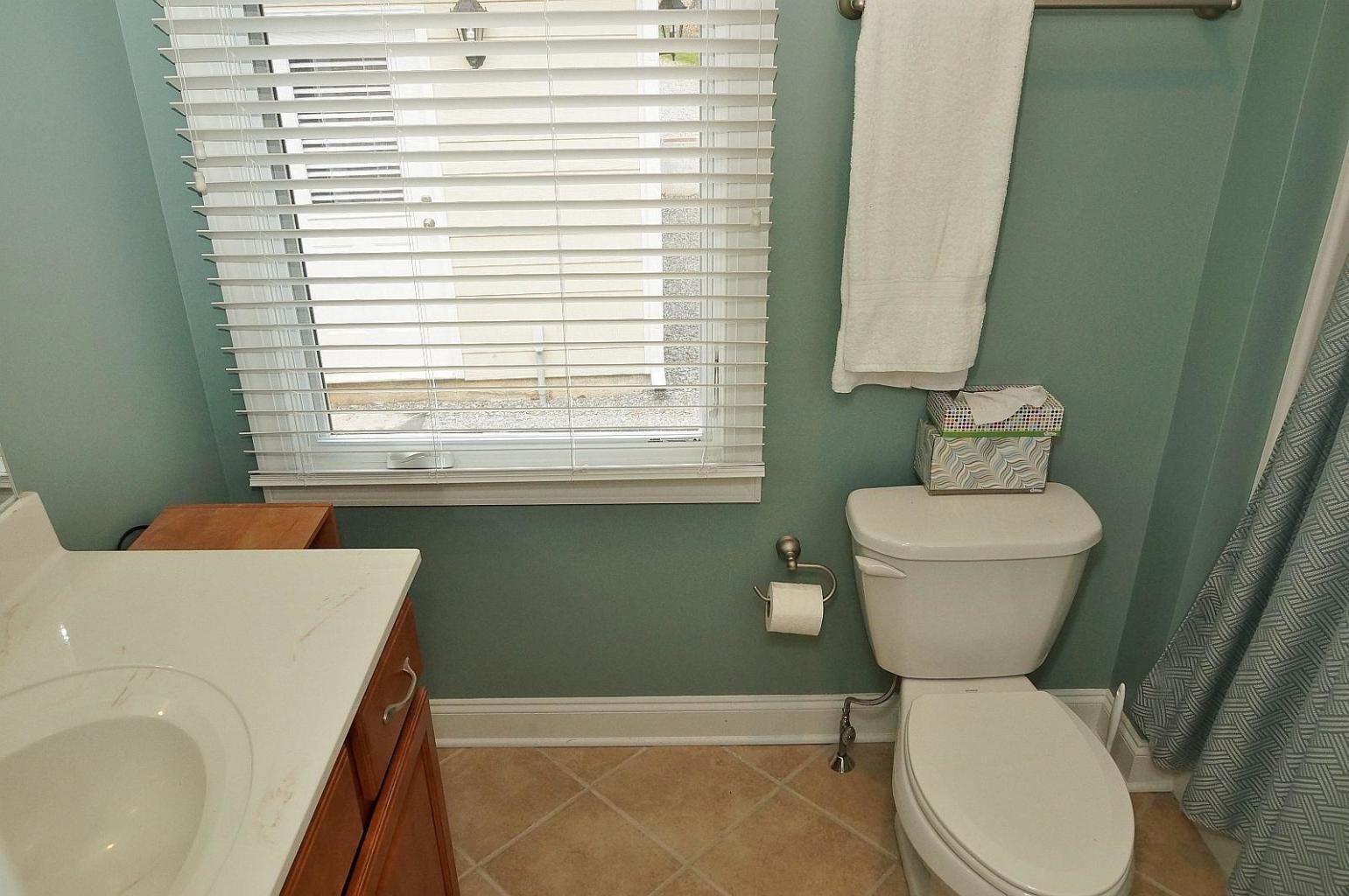 6387 Scruggs Road Moneta, VA 24121 - Photo 29 of 43 ScruggsSecondMasterBath1