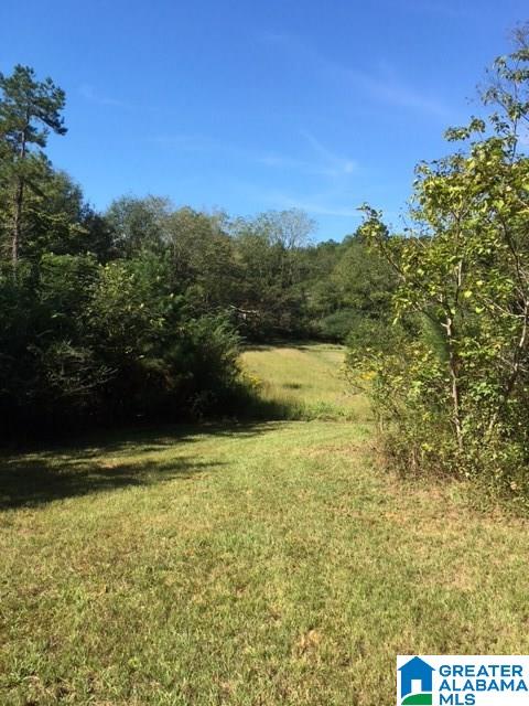 2932 County Road 82 Lineville, AL 36266 - Photo 16 of 16